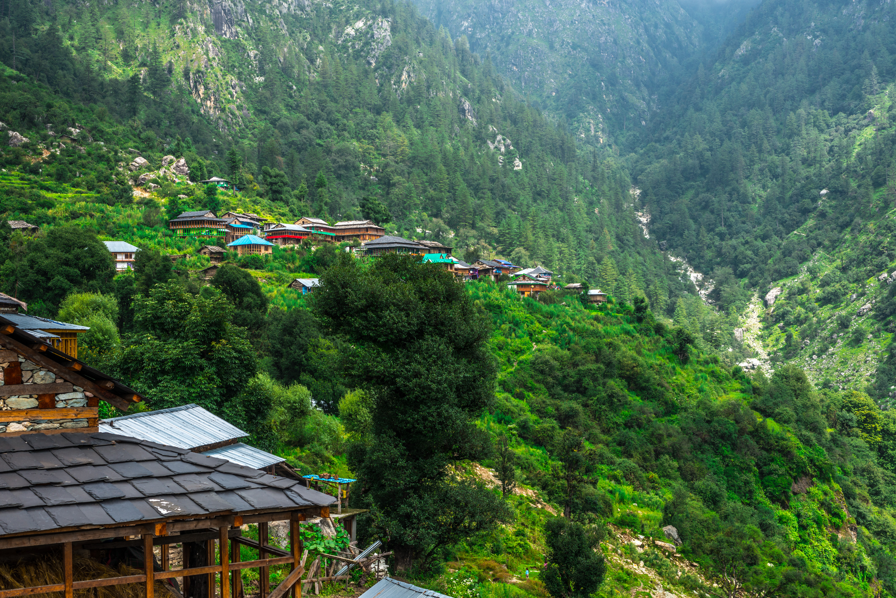 Activities in Jibhi